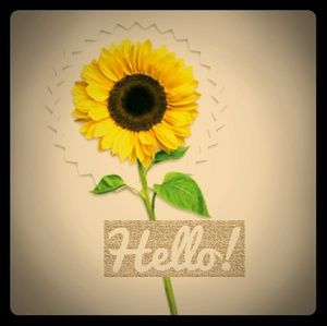 Meet your Posher, Niki